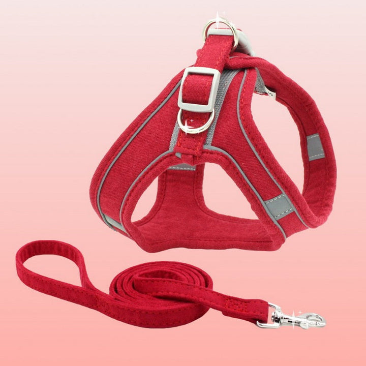 Experience the Great Outdoors with Your Feline Friend
