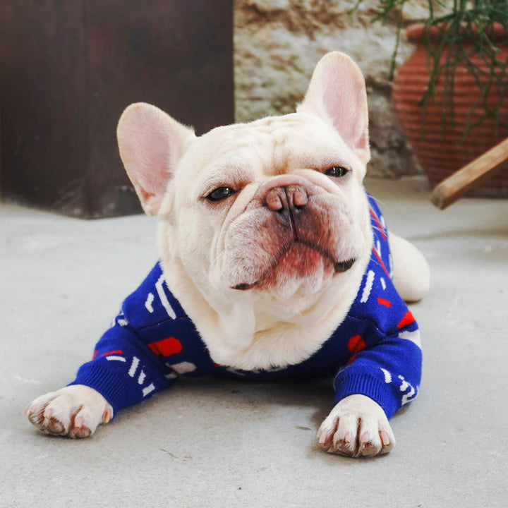 Why Your Pet Deserves the Best in Comfort and Style