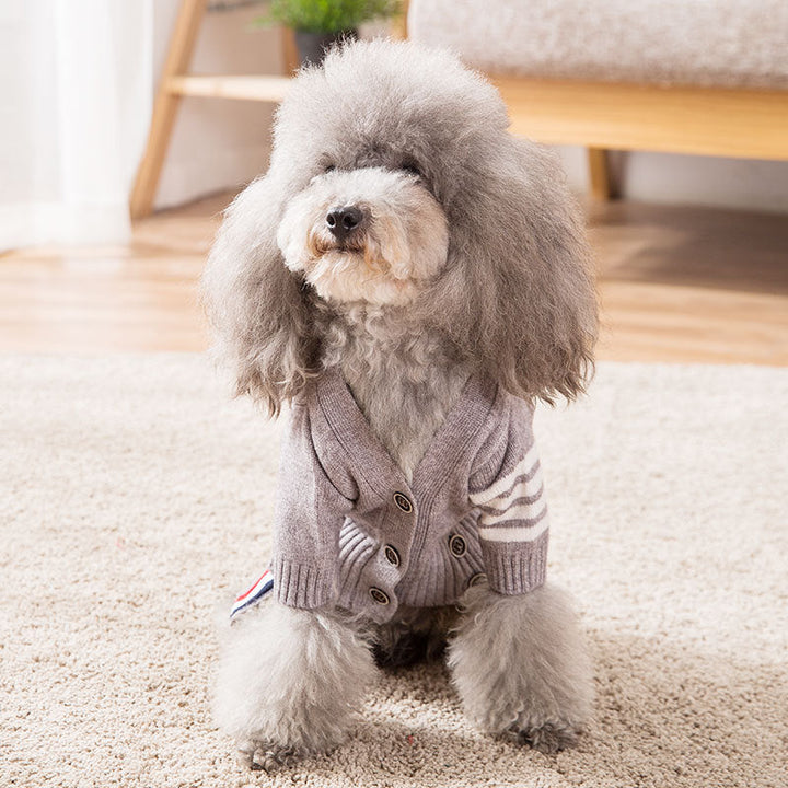 Keep Your Furry Friends Warm This Winter