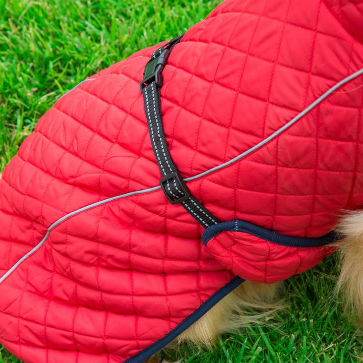 Adjustable Warm Pet Cotton Jacket For Cozy Everyday Wear